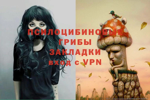 хмурый Балахна